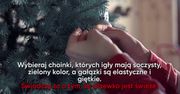 Jak dłużej zachować żywotność choinki?