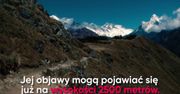 Zmora himalaistów i nie tylko: choroba wysokościowa