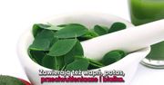 Moringa pełna substancji odżywczych. Nazwano ją produktem 2018 rok
