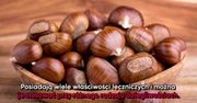 Jadalne kasztany - właściwości