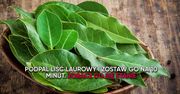 Podpal liść laurowy i zostaw go na 10 minut. Zobacz co się stanie