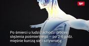 Naukowcy pokazali, jak śmierć rozprzestrzenia się po ciele