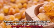 Boswellia – cudowne ziele na różne dolegliwości