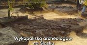 Wykopaliska archeologów na Śląsku. Odnaleźli piec sprzed 1000 lat