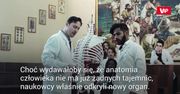 Lekarze odkryli nowy organ w ludzkim ciele