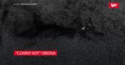 "Czarny kot" Oriona