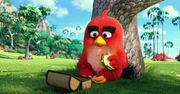 Angry Bird (2016)