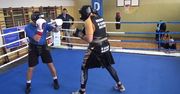 Sparing Adamek - Wach