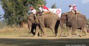 Polo na słoniach [Po bandzie]