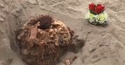 1500-letnia mumia znaleziona w Peru
