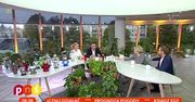 Test zniczy. Który będzie palił się najdłużej?