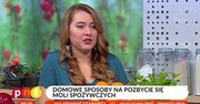 Jak skutecznie zwalczyć mole spożywcze?