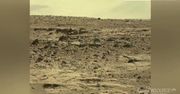 Myszy na Marsie? Dziwne zdjęcia NASA