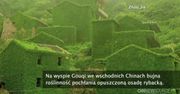 Natura pochłania opuszczoną osadę