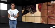 #dziejesiewkulturze: Jest szansa na piątego "Obcego"?