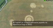 W Rosji zauważono sześć kręgów w zbożu