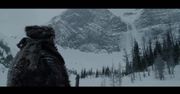 The Revenant (2015)