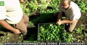 Uprawa ekologicznej żywności na dachu centrum handlowego