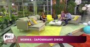 Morwa biała -  idealna dla diabetyków i chorych na nerki