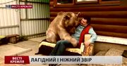 Niedźwiedź je, ogląda TV i bawi się z właścicielami