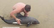 Przewodnik uratował młodego delfina wyrzuconego na brzeg oceanu. Ten film podbija internet