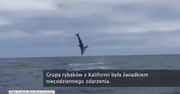 Rekin akrobata nagrany przez grupę rybaków z Kalifornii