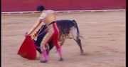 Nie żyje 29-letni hiszpański matador. To pierwszy taki wypadek od 30 lat