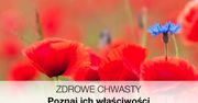 Zdrowe chwasty