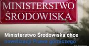 Rząd wykończy polski bursztyn? W planach 80-krotne podwyżki
