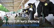 Problemy polskich rolników