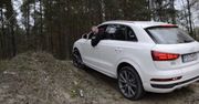 Audi Q3 2.0 TFSI S tronic (2015) - test napędu quattro i trybu Offroad - Autokult.pl