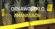 Tak poznasz, że ananas jest słodki