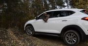 Hyundai Tucson 2.0 CRDI 4WD - test napędu 4x4 - Autokult.pl