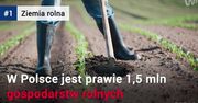 Ile kosztuje polska ziemia?