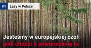 Polskie lasy w liczbach