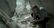 Walser (2016)