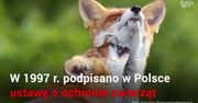 22 maja - Ogólnopolski Dzień Praw Zwierząt