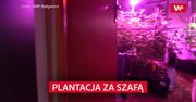 Policja zdębiała, gdy zobaczyła co znajduje się za szafą