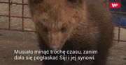 Przygarnęli 2-miesęczną sierotkę z lasu. To historia bez szczęśliwego zakończenia