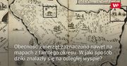 Zdumiewające odkrycie na wyspie. Zagadka sprzed niemal 400 lat wyjaśniona