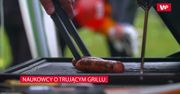 Najgorszy wybór na grilla. Naukowcy apelują: nawet 16 szkodliwych substancji