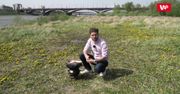 Grillowanie - fakty i mity. Ekspert zdradza, jak zdrowo i bezpiecznie grillować