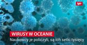Odkryli 200 tys. wirusów w oceanicznych głębinach