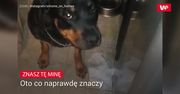 Każdy zna tę minę. Oto co naprawdę znaczy