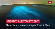 Wykorzystali 1000 obrazów. Odkryli niepokojącą tendencję