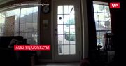 Ależ się ucieszył! Nagranie z domowej kamery