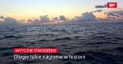 Mityczne stworzenie. Drugie takie nagranie w historii