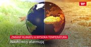 Zmiany klimatu a wysoka temperatura. Naukowcy alarmują