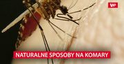 Naturalne sposoby na komary