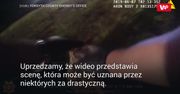 Oficer rozerwał foliową torebkę. Wstrząsające, co znajdowało się w środku